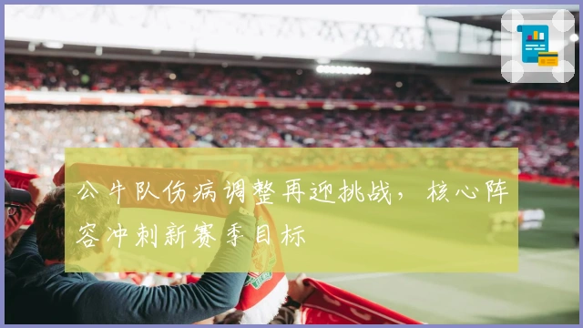 公牛队伤病调整再迎挑战，核心阵容冲刺新赛季目标