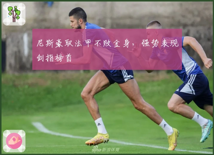 尼斯豪取法甲不败金身，强势表现剑指榜首