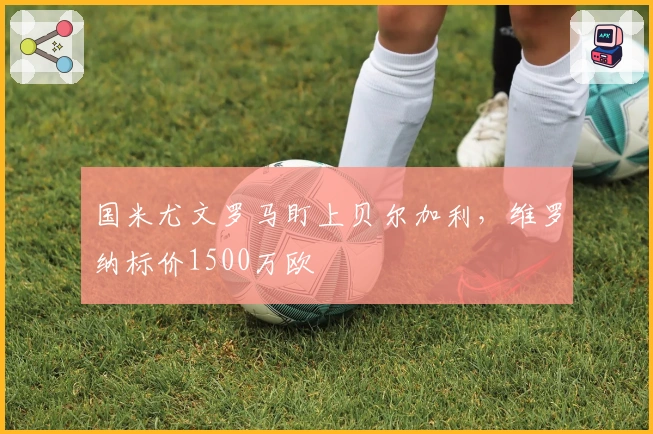 国米尤文罗马盯上贝尔加利，维罗纳标价1500万欧