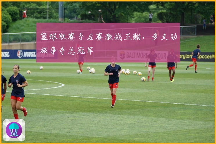 篮球联赛季后赛激战正酣，多支劲旅争夺总冠军