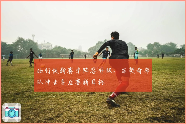 独行侠新赛季阵容升级，东契奇率队冲击季后赛新目标