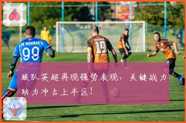 狼队英超再现强势表现，关键战力助力冲击上半区！